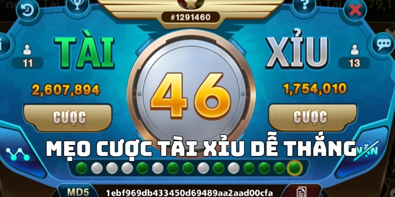 Khám phá quy luật chơi game tài xỉu B52